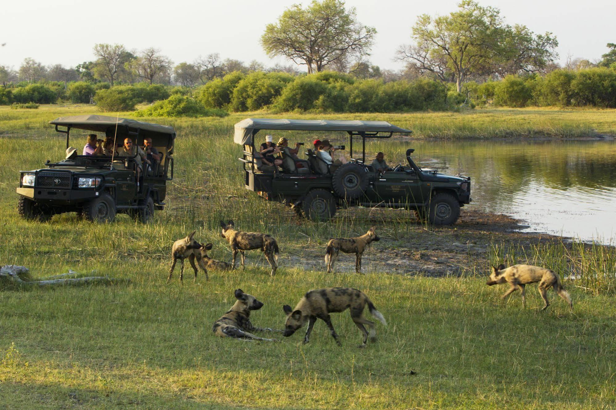 Hotel Selinda Camp à Selinda Reserve Extérieur photo