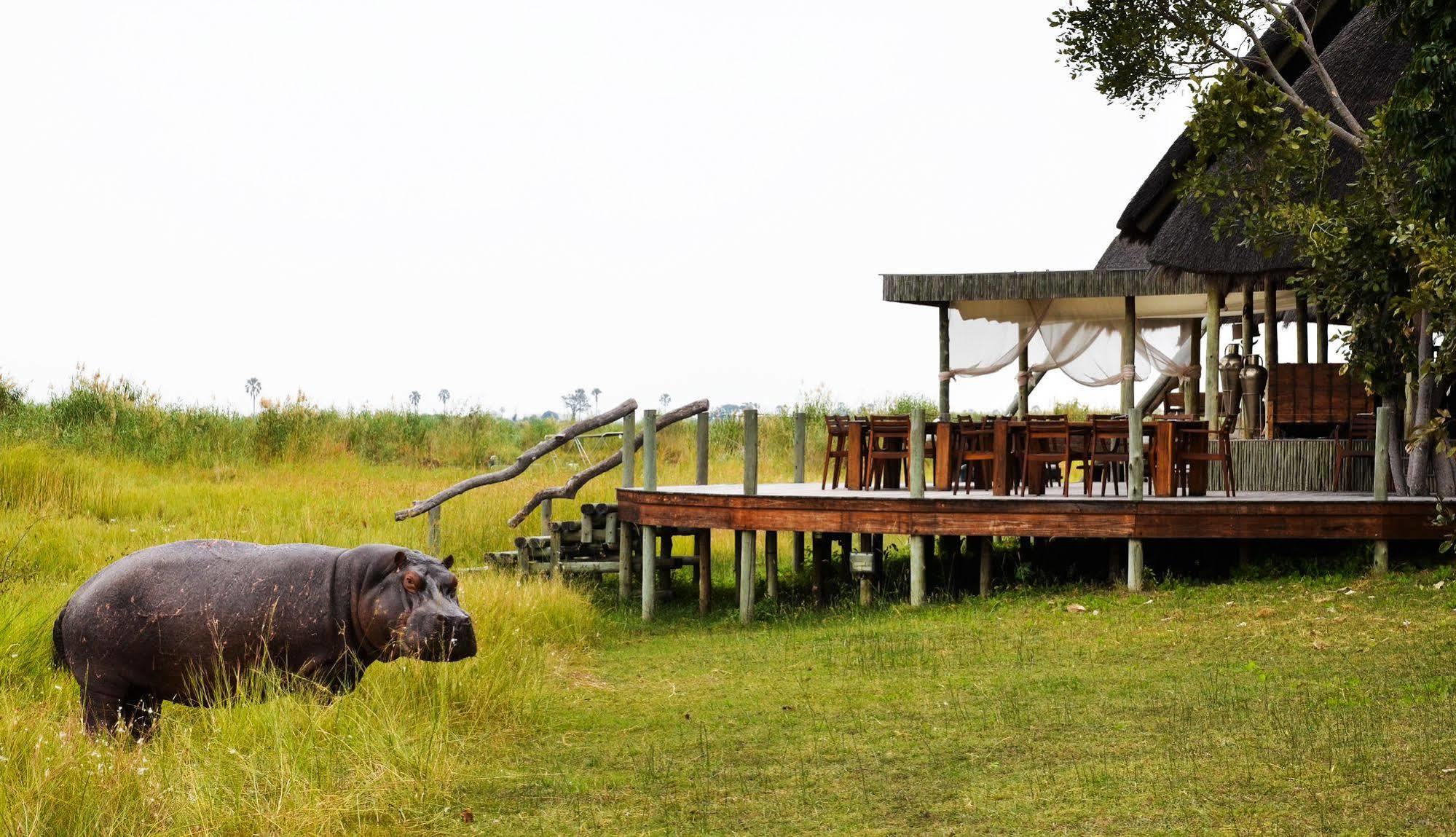 Hotel Selinda Camp à Selinda Reserve Extérieur photo