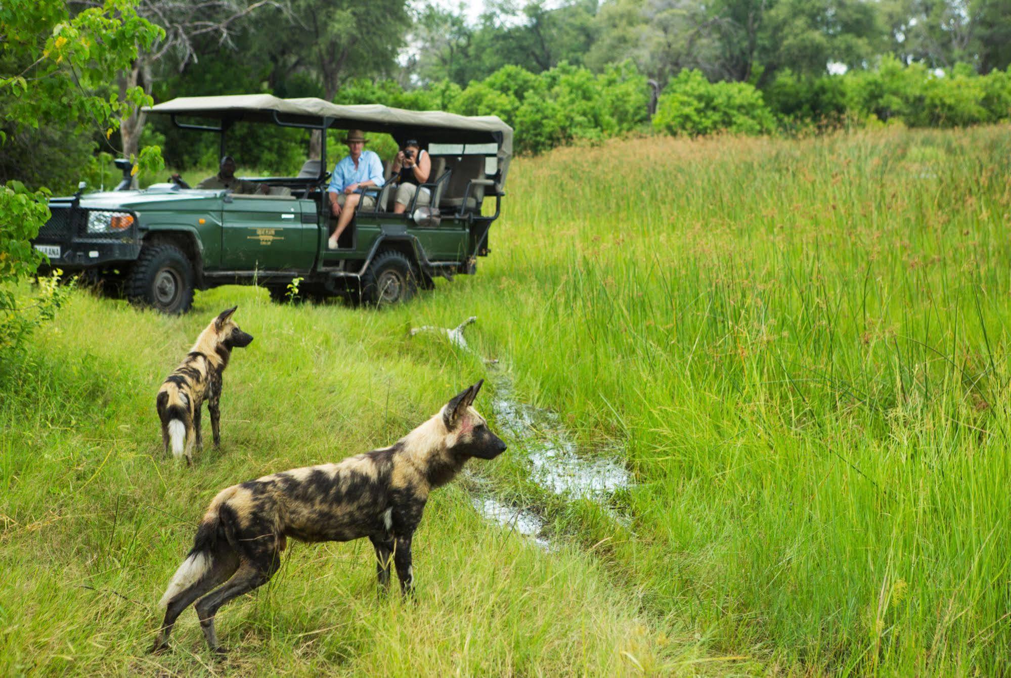 Hotel Selinda Camp à Selinda Reserve Extérieur photo